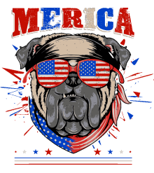 Pugs Rockeros y Patriotas